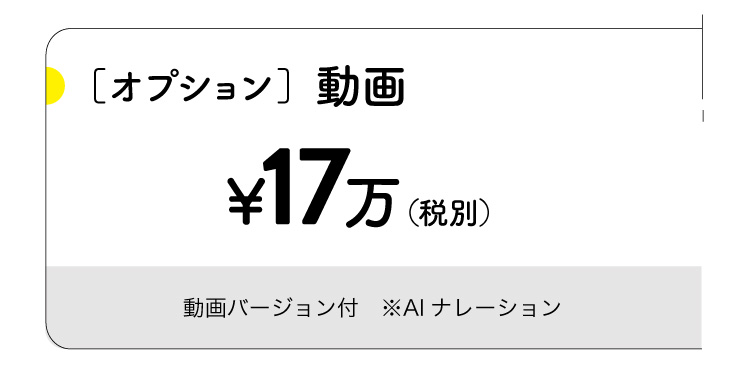 オプション。動画17万円（税別）
